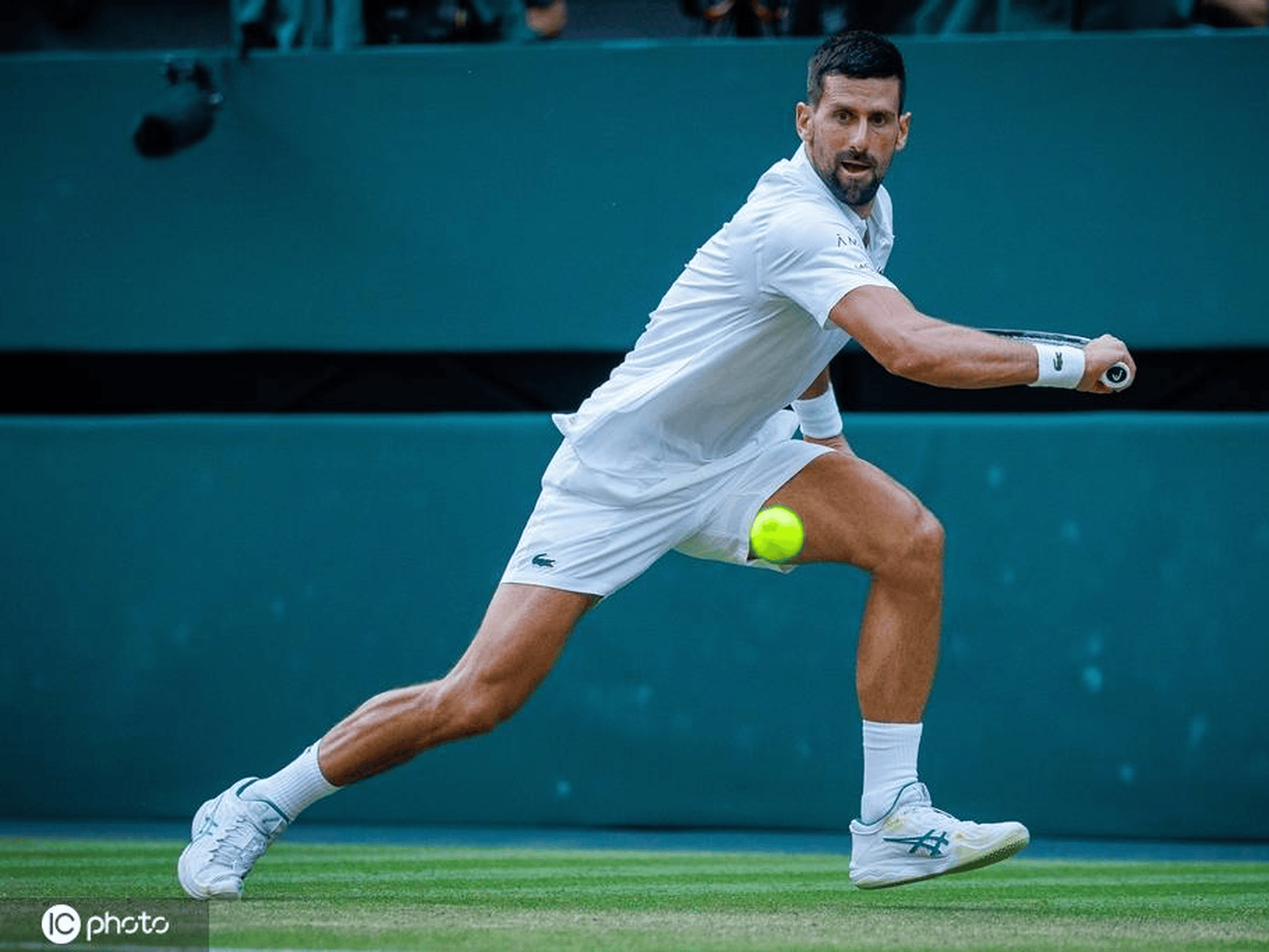 温网鏖战联合杯，德约科维奇点燃赛场