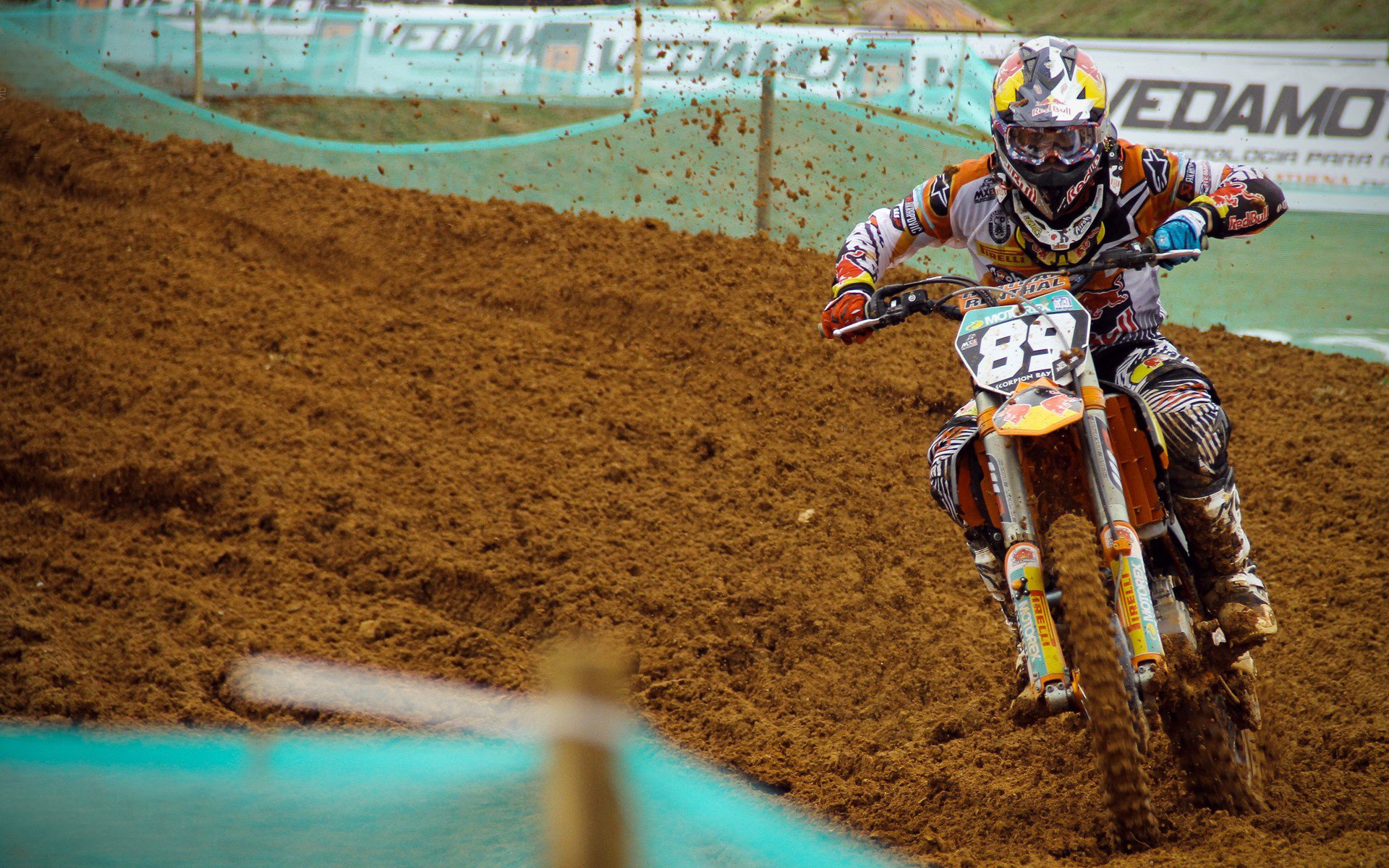 跨界焦点，当意甲战术遇上灰熊精神—一场非典型击败的启示