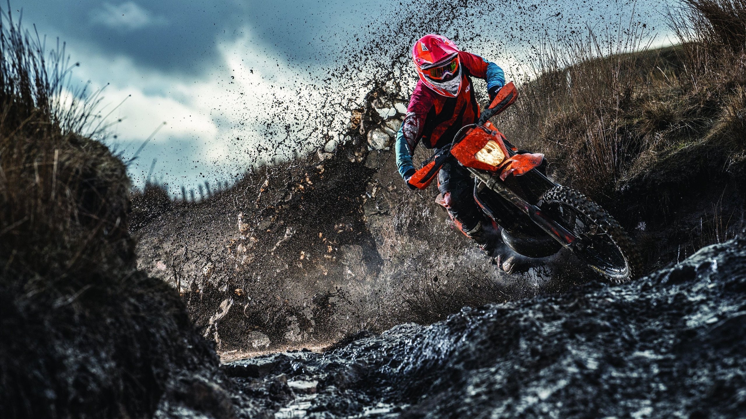 国王加冕夜,霍勒迪惊艳四座,北京队憾负见证传奇